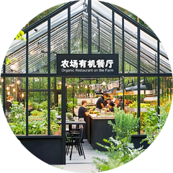旗下餐饮