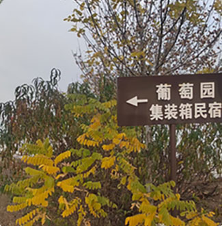 葡萄园
