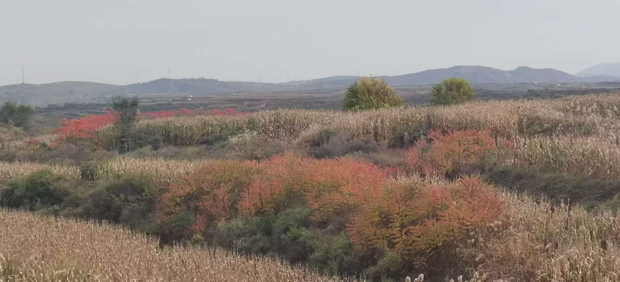 基地秋景