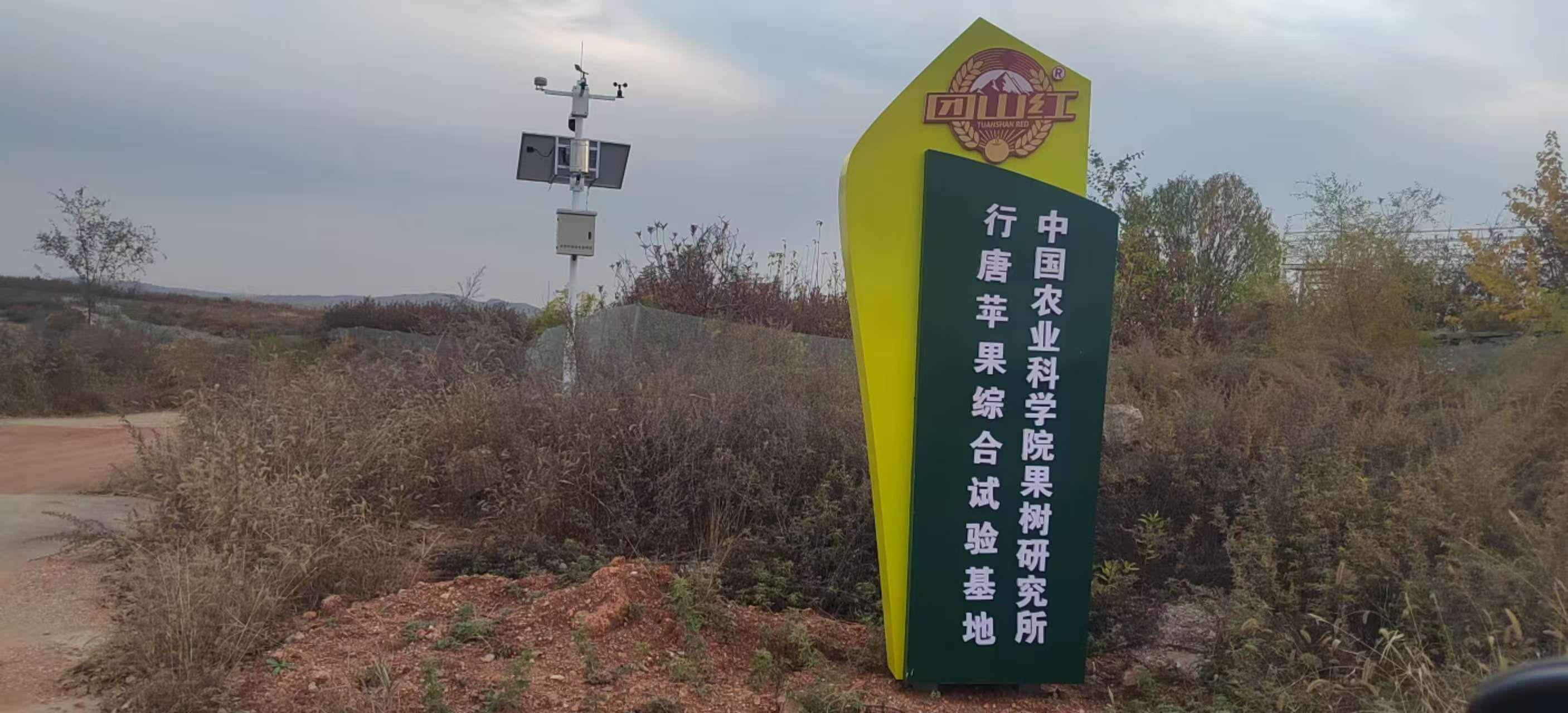 苹果试验田